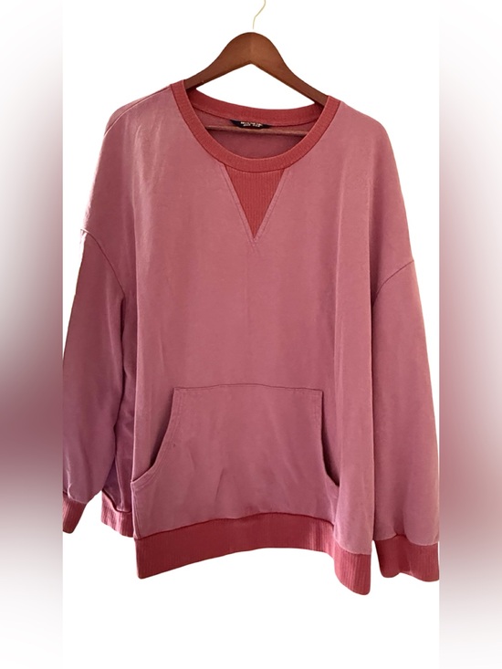BloomChic Tops - BloomChic, Crew Sweatshirt (Size 3X)